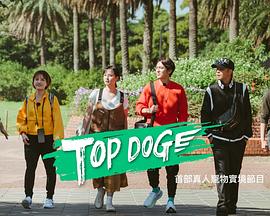 成人快手《TOP DOG》免费在线观看