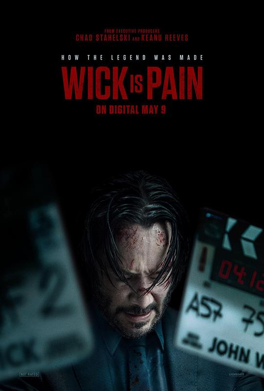 成人快手《疾速剧痛 Wick Is Pain》免费在线观看