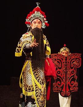 成人抖阴《袁崇焕2009》免费在线观看