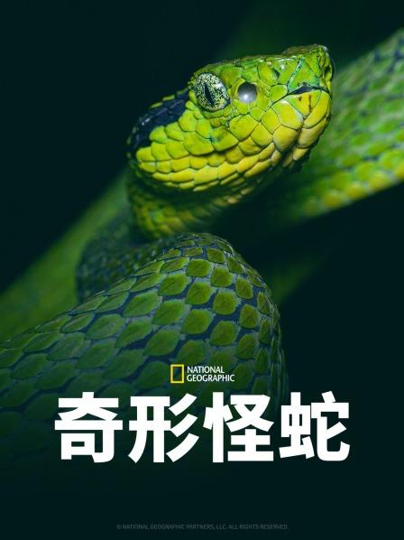 成人抖阴《奇形怪蛇》免费在线观看